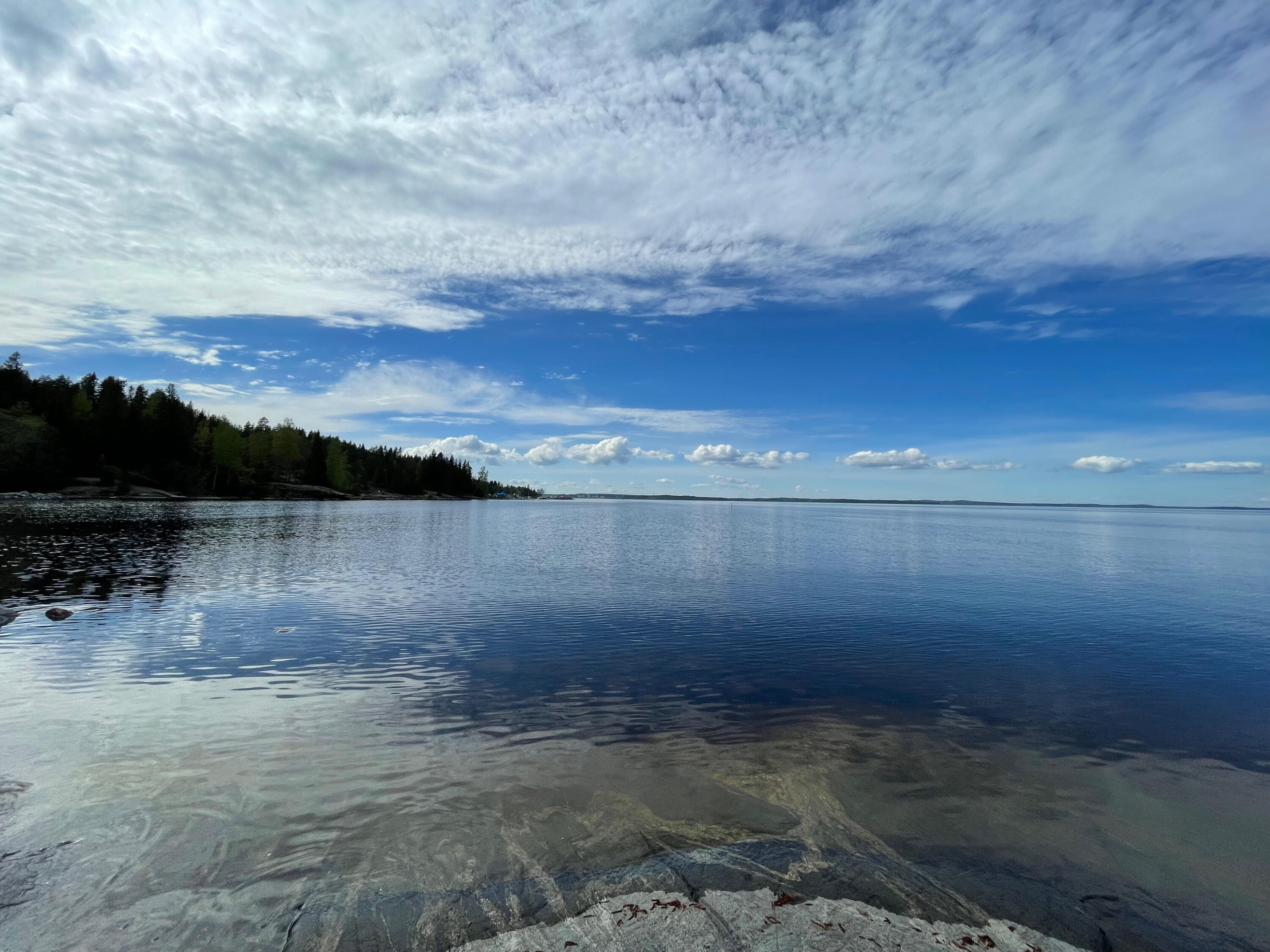 The Clear Lake sky and forest